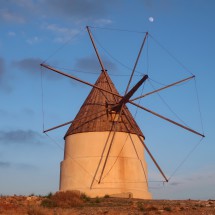 Windmill south of San José